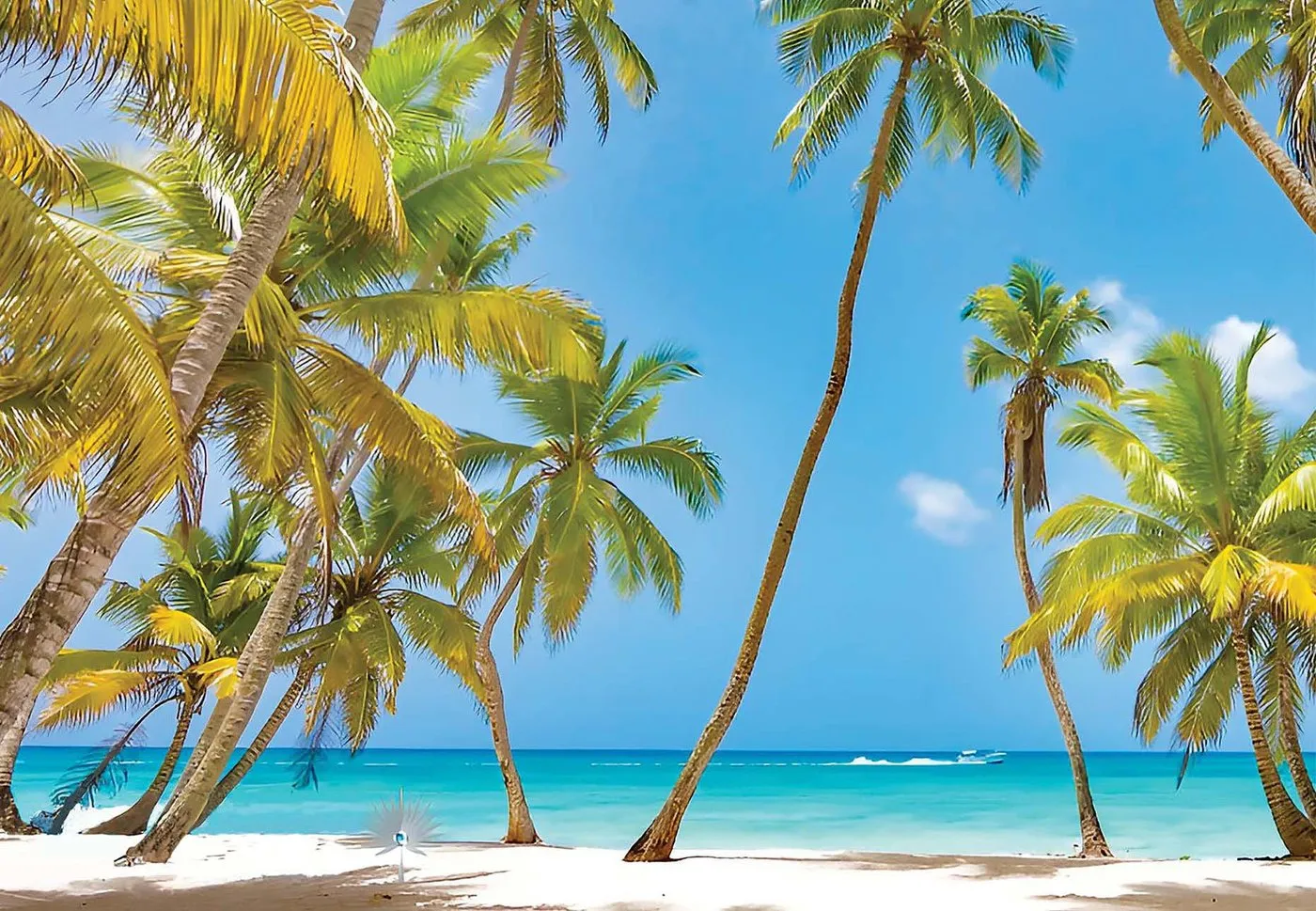 Exclusive beaches